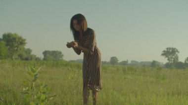Cheerful positive pretty black woman in sundress enjoying beautiful nature, freedom and recreation, collecting multi colored wildflowers and herbs on field while relaxing in countryside.
