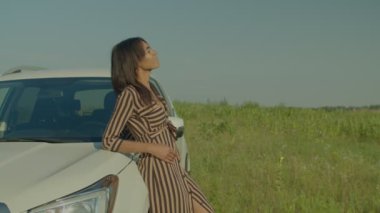 Elegant attractive African American female tourist leaning on car body, enjoying scenic summer nature and freedom, looking with cheerful smile while travelling by auto on road trip in countryside.