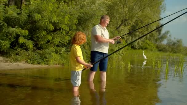 Hábil Padre Atractivo Con Spin Caña Pescar Captura Peces Agua — Vídeos de Stock