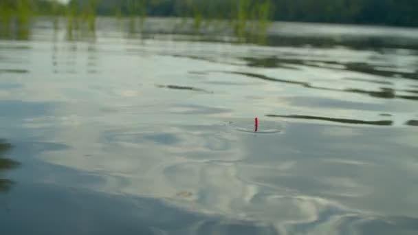 Close Van Visserij Drijven Duiken Het Water Waarschuwen Vissen Bijten — Stockvideo