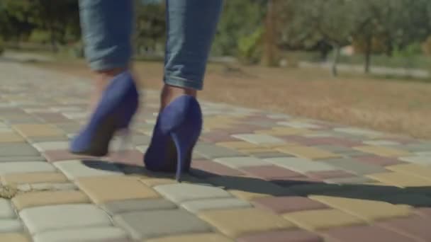Vista Trasera Hermosas Piernas Delgadas Negras Femeninas Elegantes Zapatos Azules — Vídeos de Stock