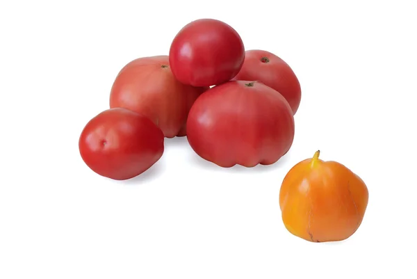 Tomaten — Stockfoto