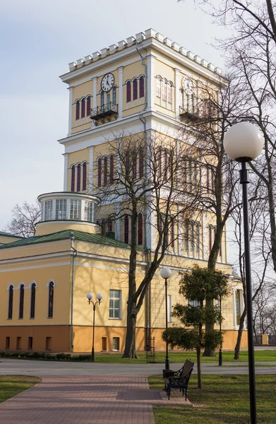 Uhr Turm des Palastes. — Stockfoto