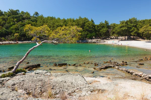 Hermosa pequeña bahía y playa . — Foto de Stock