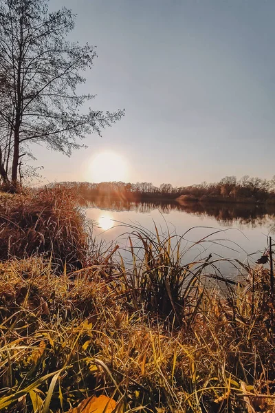 Livlig Höstsolnedgång Hösten Landskap Solnedgång Över Floden Med Lysande Gräs — Stockfoto