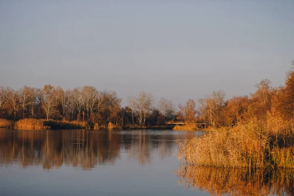Żywy Jesienny Zachód Słońca Jesienny Krajobraz Zachodu Słońca Nad Rzeką — Zdjęcie stockowe