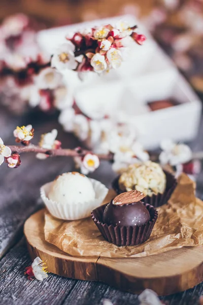 Coleção Primavera Bombons Chocolate Artesanal Doces Flores Cereja Decoração Fundo — Fotografia de Stock