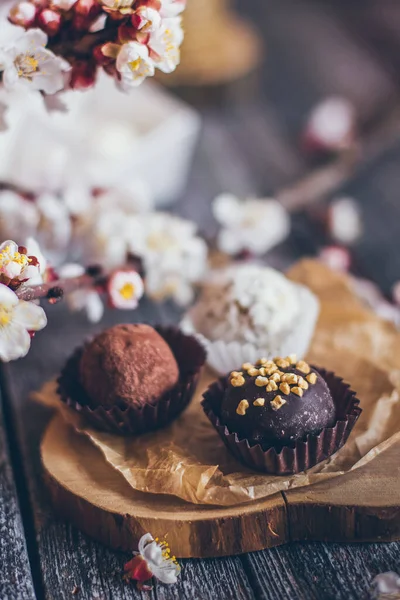 Coleção Primavera Bombons Chocolate Artesanal Doces Flores Cereja Decoração Fundo — Fotografia de Stock