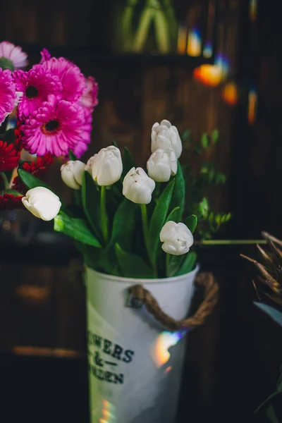 Gros plan sur les tulipes blanches. Bouquet tendre. Vibrations printanières — Photo