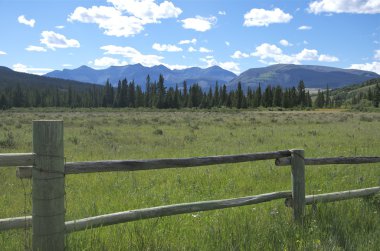 Kayalık dağ manzarası