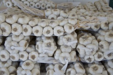 Farm fresh garlic clipart