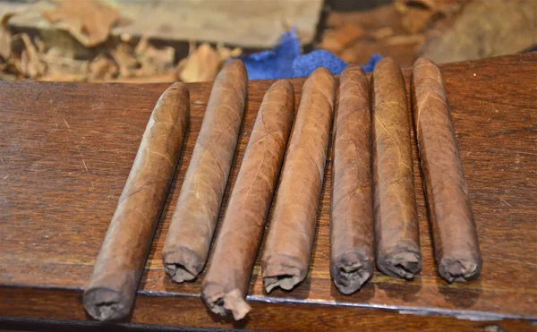 新鮮なキューバ産の葉巻を圧延 — ストック写真