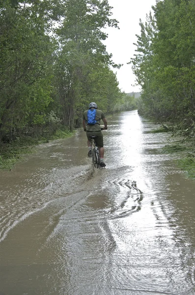 Ciclistas entran en camino bajo el agua debido a inundaciones Imagen de stock