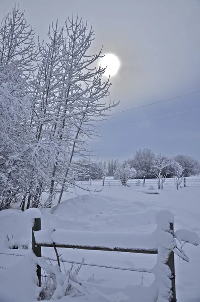 Mattina nevosa in campagna — Foto Stock