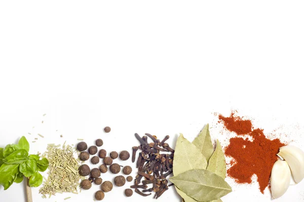 Herbs and spices border on white background — Stock Photo, Image