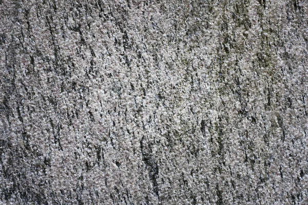 Старый гранж цементный фон — стоковое фото