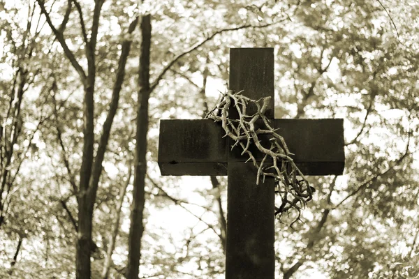 Kreuz und Dornen auf Friedhof — Stockfoto