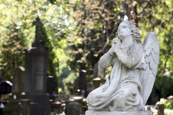 Statue of ancient angel on cemetery in Warsaw — Stock Photo, Image