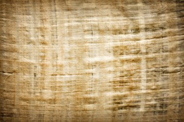 Old vintage blank Egyptian papyrus background texture