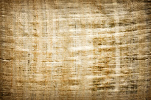 Old vintage blank Egyptian papyrus background texture — Zdjęcie stockowe