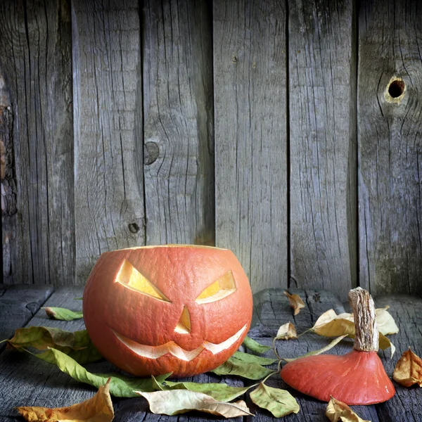 Calabazas de Halloween en viejas tablas grunge con hojas de fondo — Foto de Stock