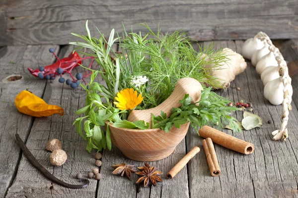Ervas e especiarias em argamassa em tábuas de madeira — Fotografia de Stock