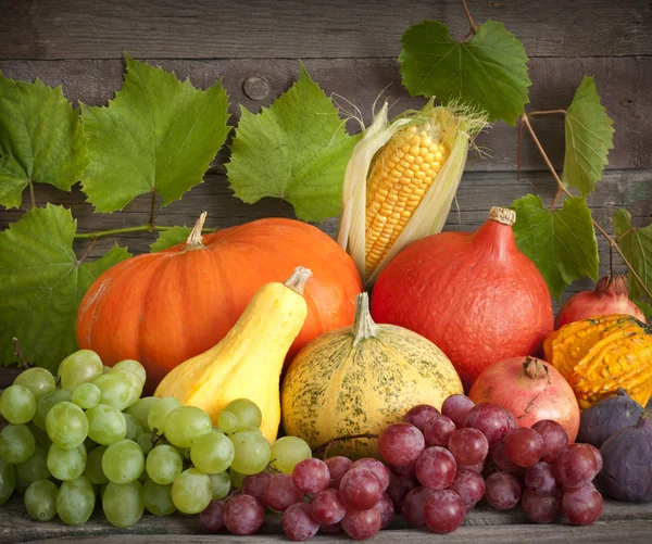 Calabazas de otoño sobre tablas de madera bodegón — Foto de Stock