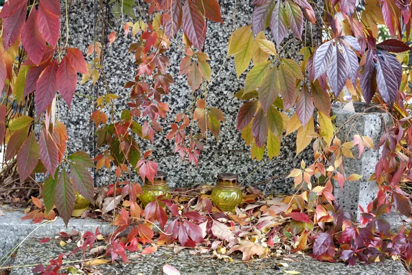 Graf en klimop op begraafplaats in herfst abstracte achtergrond — Stockfoto
