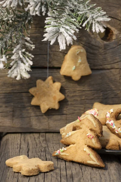 Christmas homemade cookies on wooden boards with fir background — Stock Photo, Image