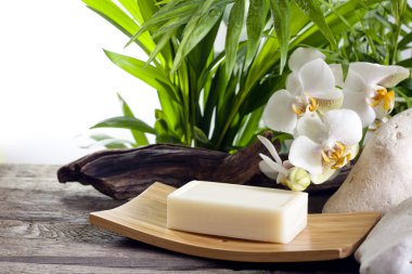 Spa pembe ve beyaz orkide palmiye karşı taş