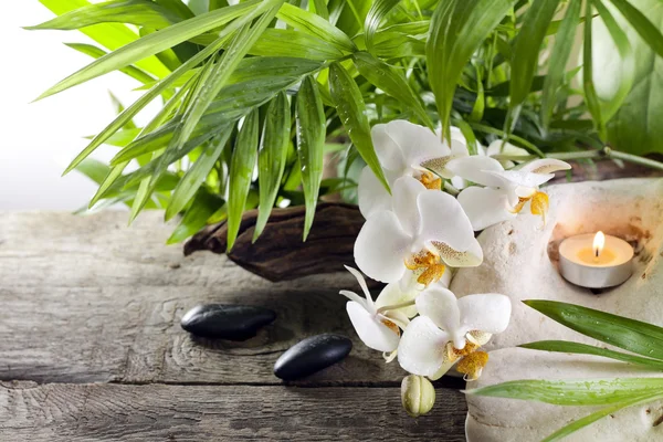 Orquídeas vela y piedras sobre tablas de madera fondo —  Fotos de Stock