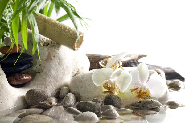 Орхидеи и камни дзен на водном курорте концепция на белом фоне — стоковое фото