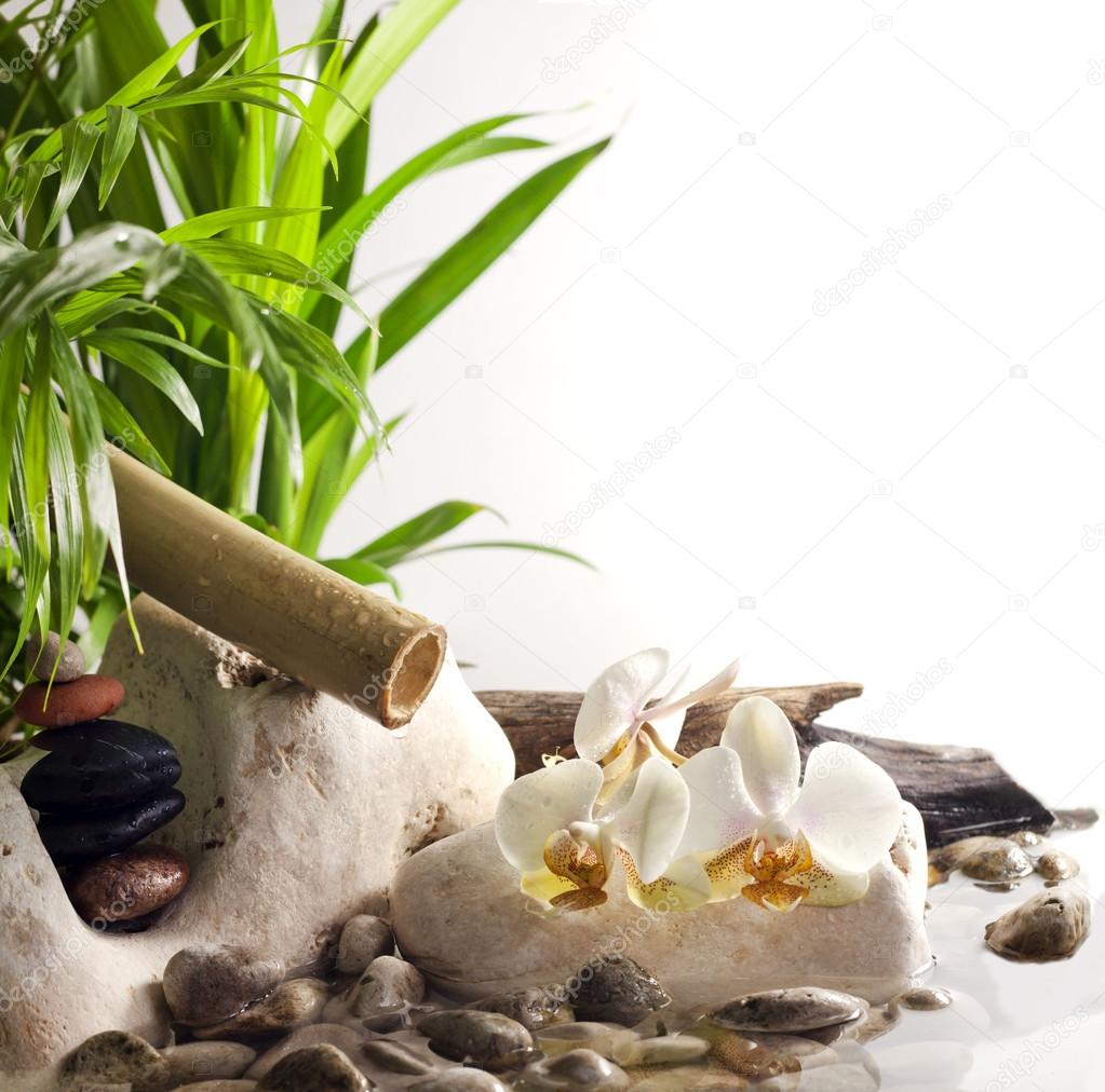 Orchids and zen stones on water spa concept on white background