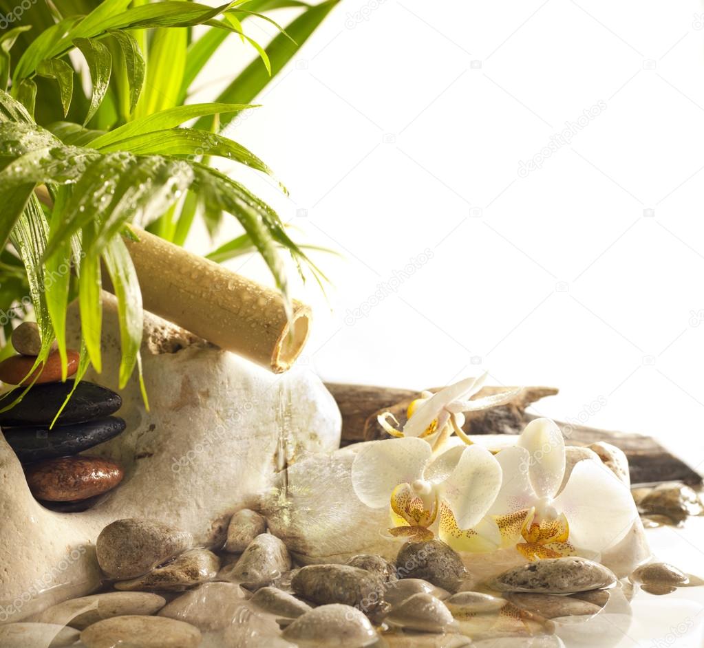 Orchids and zen stones with falling water spa concept