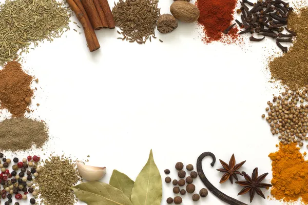 Herbs and spices border on white background — Stock Photo, Image