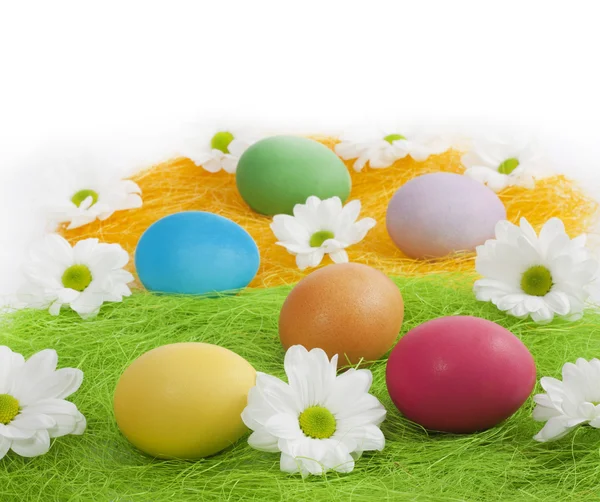 Easter eggs with daisy on abstract green grass — Stock Photo, Image