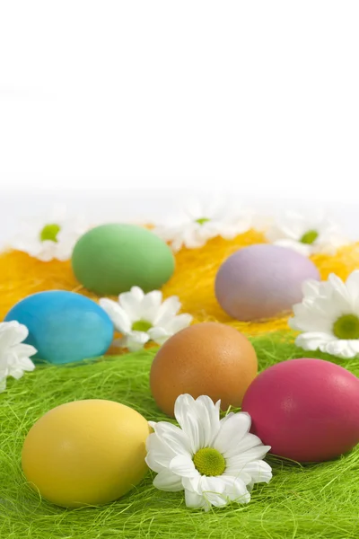 Великодні яйця з ромашкою на абстрактній зеленій траві — стокове фото