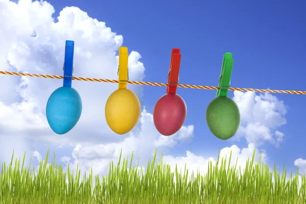 Colorful easter eggs hanging on meadow like laundry concept — Stock Photo, Image