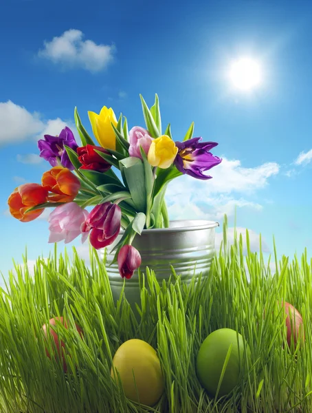 Huevos de Pascua y flores en el prado con el concepto abstracto cielo — Foto de Stock