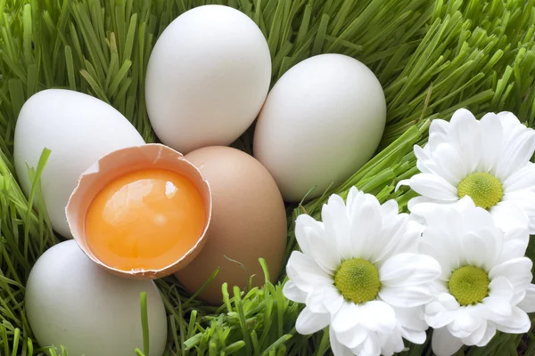 Ouă organice de Paște în iarba verde — Fotografie, imagine de stoc