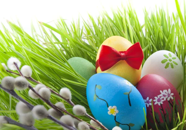 Uova di Pasqua in erba verde sul prato — Foto Stock