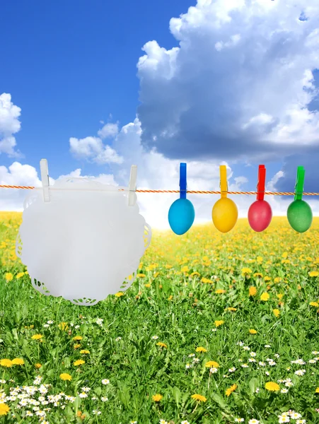 Colorful easter eggs hanging on meadow like laundry concept — Stock Photo, Image