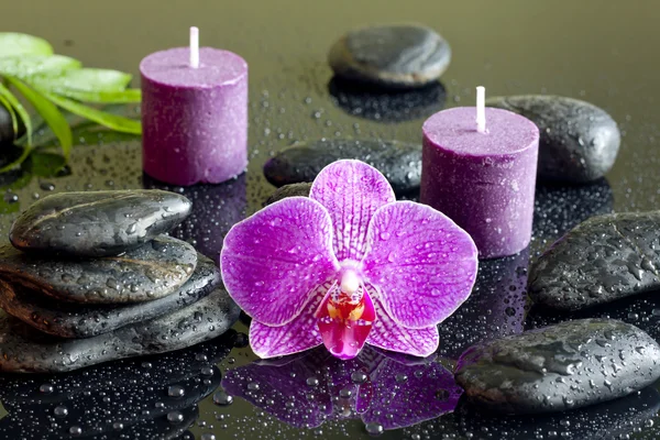 Bougies pourpres orchidée et zen pierres concept de spa nature morte — Photo