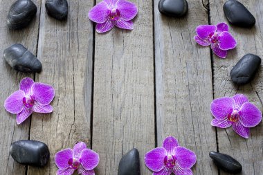 sınır arka plan ahşap kurullarında orkide ve spa taşlar