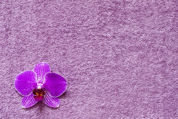 Orchidée sur la serviette spa cosmétique fond abstrait — Photo