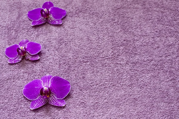 Orchid op de handdoek spa cosmetische abstracte achtergrond — Stockfoto