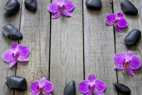 Orchideeën en spa stenen rand achtergrond op houten planken — Stockfoto