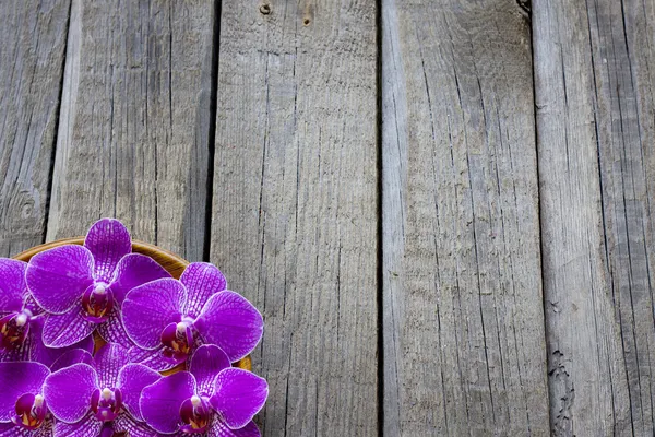 Orquídea sobre tablas de madera spa cosmético abstracto vintage fondo —  Fotos de Stock