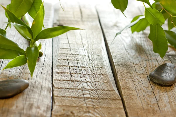 Bambou sur des planches en bois avec des pierres de spa concept de fond — Photo