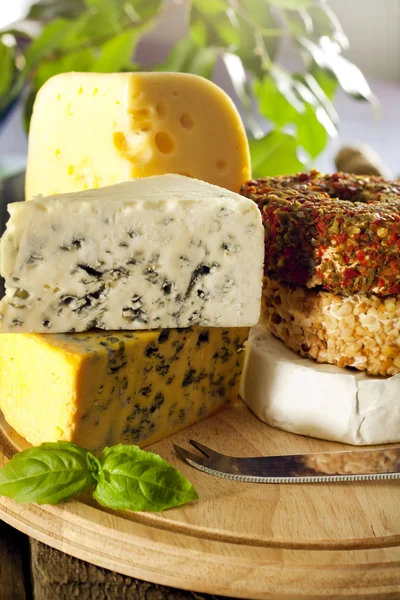 Käse verschiedenes Sortiment auf Holzbrettern — Stockfoto